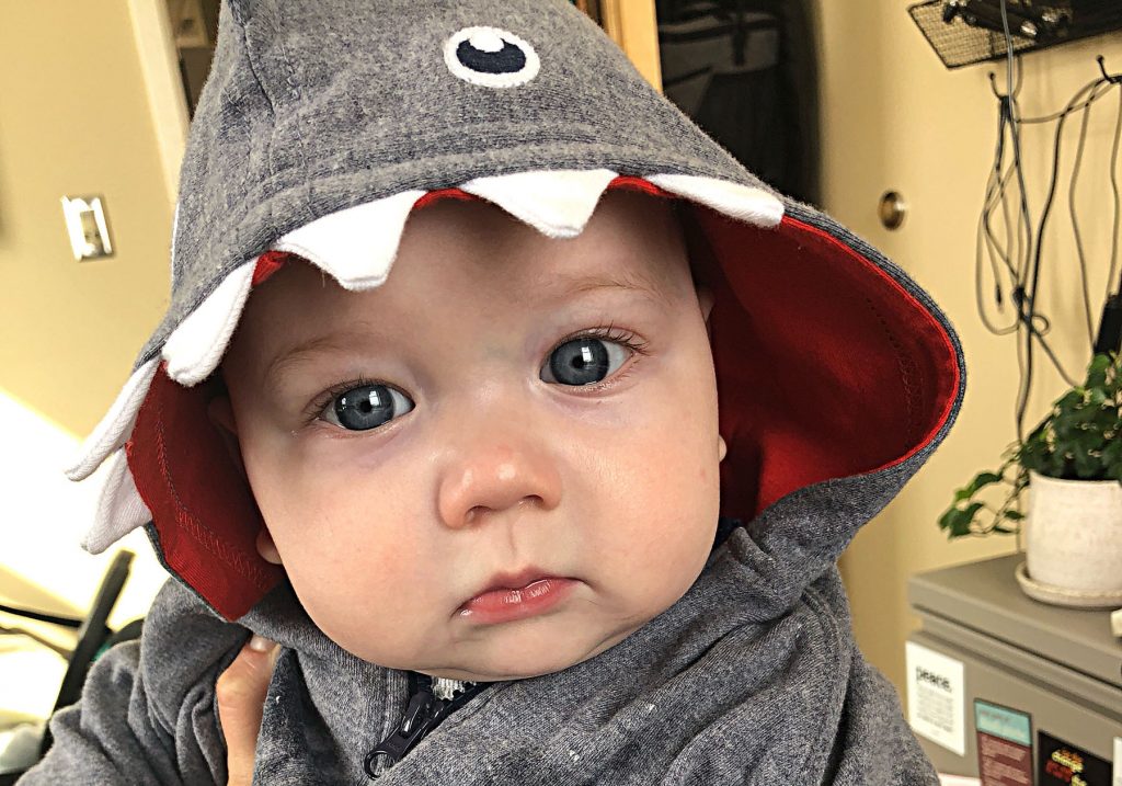 baby shark