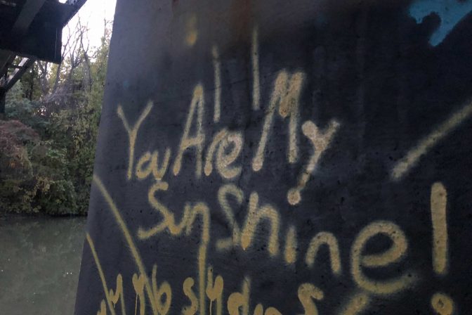 Sunshine