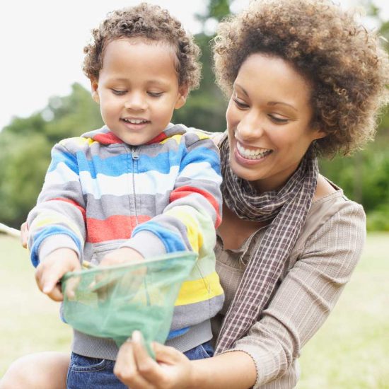 Internship Opportunity SVP Society for the Protection and Care of